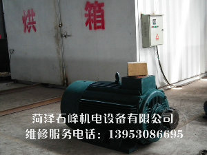 高低壓電機維修